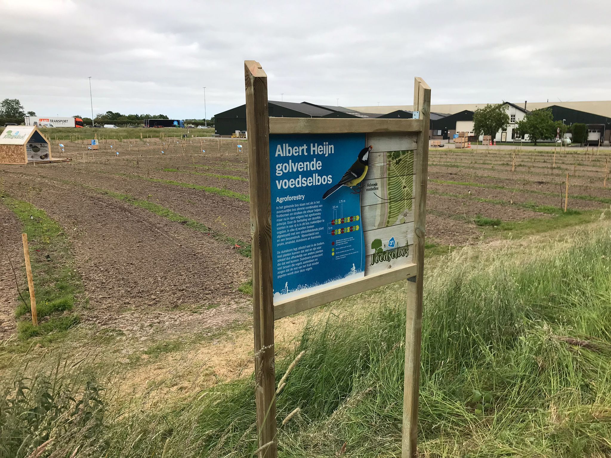 vogelaar_vredehof_albert_heijn-voedselbos5